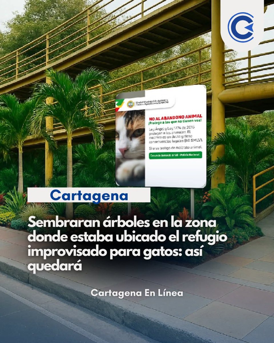 dumek_turbay's tweet photo. Así quedarán los bajos del puente del Napoleón Perea, en la Transversal 54, donde estaba el corral de gatitos hacinados y que fueron reubicados al hospital veterinario #ElGuardián, donde serán cuidados y protegidos. 

 El puente será pintado y el entorno embellecido. 

Por otro lado, anunciamos la construcción del gran Centro Distrital de Bienestar Animal, que quedará en La Perimetral, donde proyectamos atender a más de 10 mil animalitos sin cuidador (de calle), en jornadas masivas de prevención y protección animal. Asimismo, ordenamos la compra de de una Unidad Móvil Veterinaria, que tendremos en próximos meses que será operada por @DadisCartagena y @umataCTG. ¡AVANZAMOS!