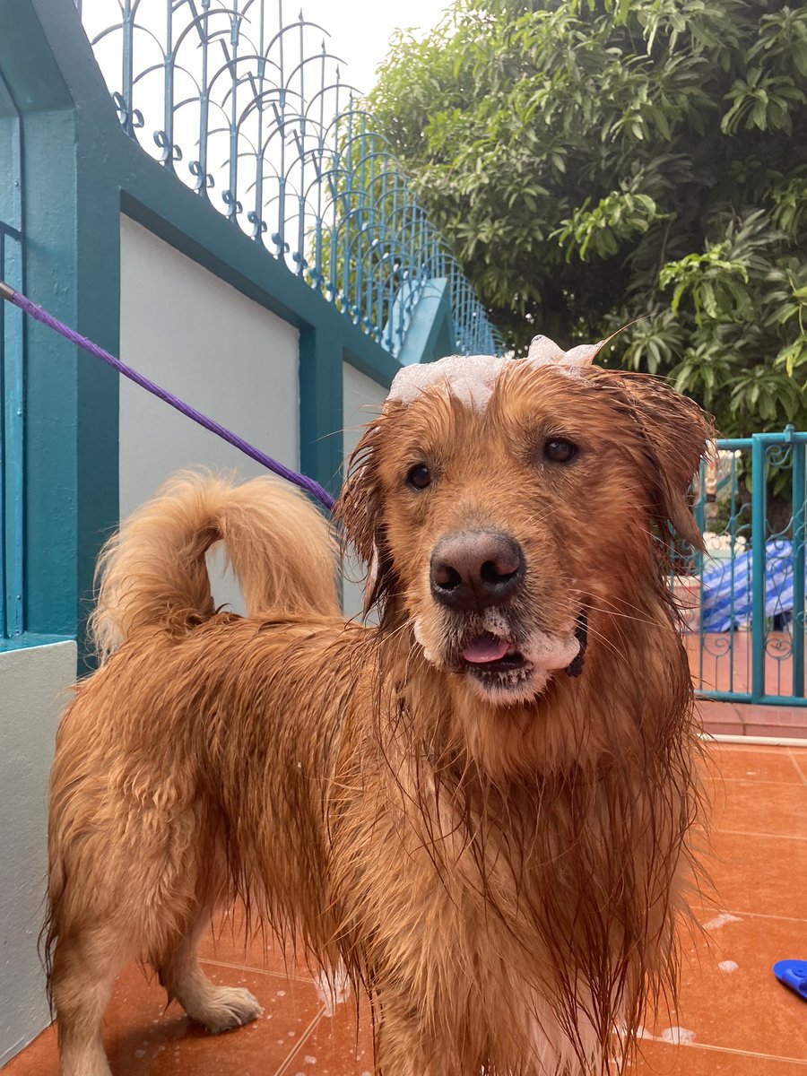 จู๊ดมอร์นิ่ง คองกลับมาป่วนทวิตแบ้ว