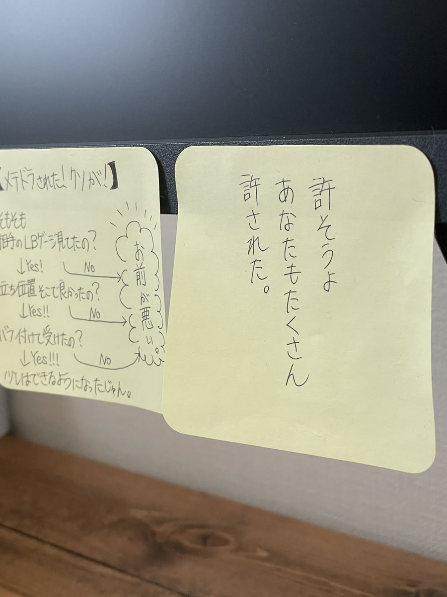零式はじまるとTLに流れてくる人のメモやカンペの画像けっこうすきなんだけど、
vpの人間がどんなメモ貼ってるか気になりませんか