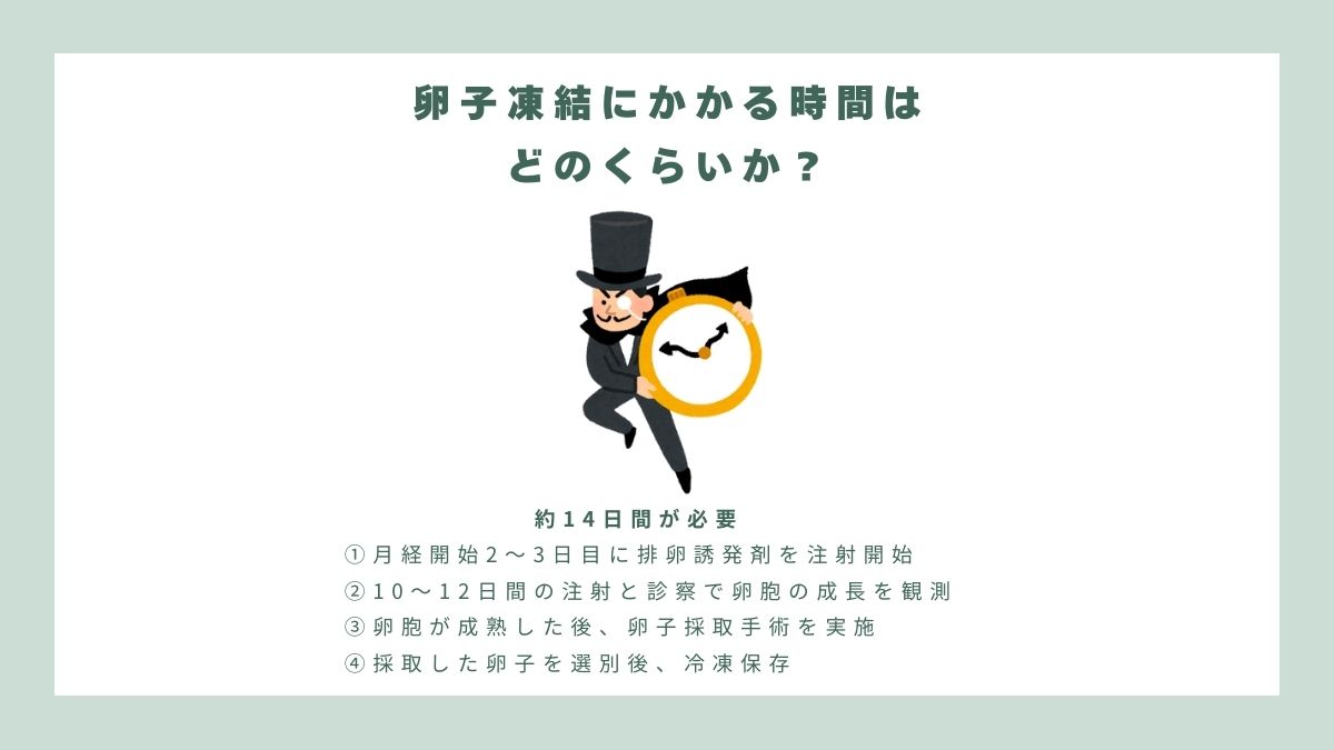 tfcivf's tweet photo. ⏳ 時間の流れとともに、卵子の数も減少していきます！

👩‍⚕️ 女性の卵子の数は、生まれた時点で決まっており、年齢を重ねるごとに卵子の在庫は徐々に減少し、その質も低下する可能性があります。

しかしながら、卵子の質は、妊娠率に直結する重要な要素となります。

卵子凍結を考えたことがありますか？
📌 年齢は卵子の質に大きな影響を与えるため、早めに行動することをお勧めします。

情報不足で踏み切れなかった方もいらっしゃるかもしれませんが、ここでは、卵子凍結に関する4つのよくある質問を取り上げ、疑問にお答えします。

🔎 卵子凍結は誰にも適しているのでしょうか？

以下のような方々は、特に卵子凍結を検討することをおすすめします：
▪️35歳前後で、近い将来に結婚や出産の予定がない方
▪️将来、子どもを持ちたいと考えている同性カップル
▪️卵巣手術を受けたことがある方やAMH値が低い方
▪️ガンなどの重大疾患にかかり、治療が生殖能力に影響を与える可能性がある方

💰 卵子凍結の費用はどのくらいかかるのでしょうか？
💡 これは未来の生殖能力への投資と考えるべき費用だと考えてみてください。

▪️治療費用：約12万台湾ドル（約54万円）
　　※個々の薬物の使用状況によって異なります。
▪️保存管理費：年間1万台湾ドル（約5万円）
　　※凍結した卵子の数によって変わりません。

⏳ 卵子凍結にかかる時間はどのくらいですか？
約14日間で、プロセスは比較的シンプルで生理的や経済的に負担もより少ないです。

①月経開始2～3日目に排卵誘発剤を注射開始
②10～12日間の注射と診察で卵胞の成長を観測
③卵胞が成熟した後、卵子採取手術を実施
④採取した卵子を選別後、冷凍保存

🥚 Baby一人が欲しいと、どのくらいの卵子が必要ですか？
📢 年齢が上がるほど、卵子の質が低下し、必要な卵子の数が増える可能性があります。
▪️35歳以下：10～15個
▪️35～38歳：15～20個
▪️39～40歳：20～30個
▪️40歳以上：30～40個

今、卵子凍結をするかどうかに関わらず、まずは自分のAMH値（卵子の在庫量）をチェックすることをお勧めします。
AMH値は年齢と共に減少し、特に35歳を過ぎると急激に低下します。

妊娠を望むなら、時間との戦いが重要です。

💡 相談フォームにご記入され、夢を実現させる第一歩を踏み出しましょう！
👉 https://t.co/hcZvjDSI9L

📍 国際医療についてはこちら
👉 https://t.co/zWf6eQCc38
📍 LINE：（ID：@524ltcow）

#TFC #台北生子聖地 #卵子凍結 #IVF #IVF成功 #唯一SNQ認証を受けた生殖専門クリニック