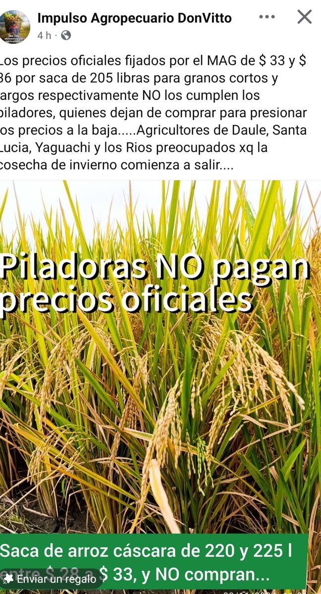Seguimos en Indefensión, las piladoras arroceras son las que deciden, a que precio pagan el arroz y lo hacen pagando a precio de gallina con peste, debido a que no hay gobierno, no hay fiscalía y no hay Ministro de Agricultura, hoy el pequeño agricultor vuelve a perder...