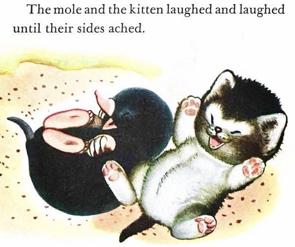 Swansons (@swanson8963163) on Twitter photo 