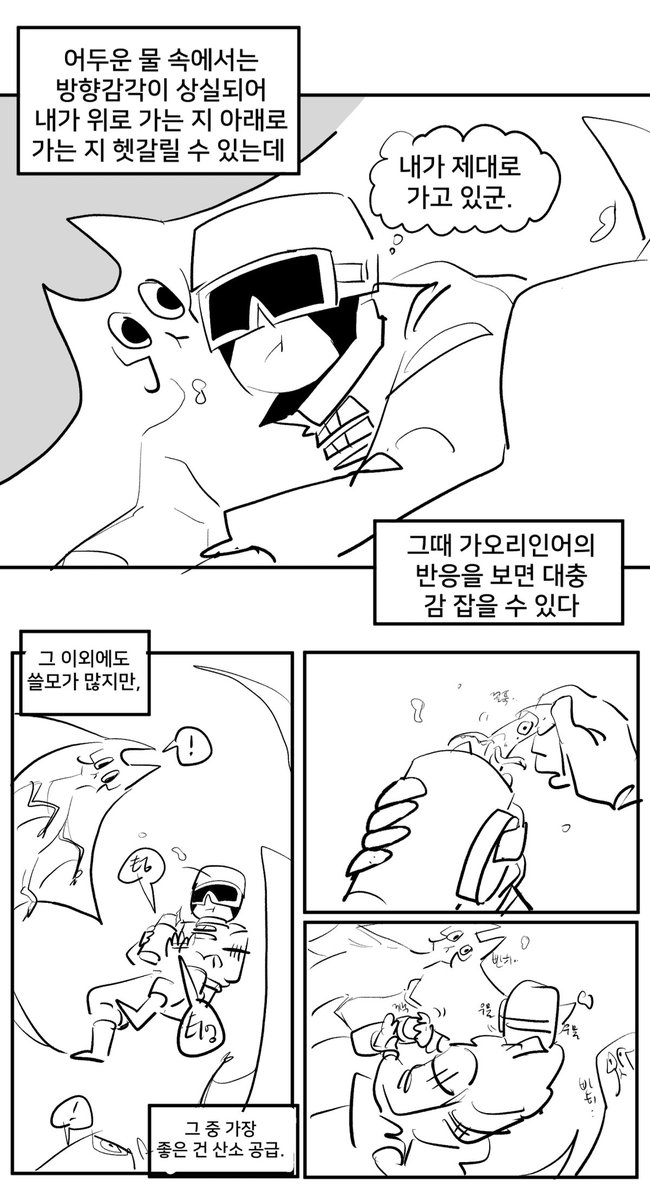(6/6) 