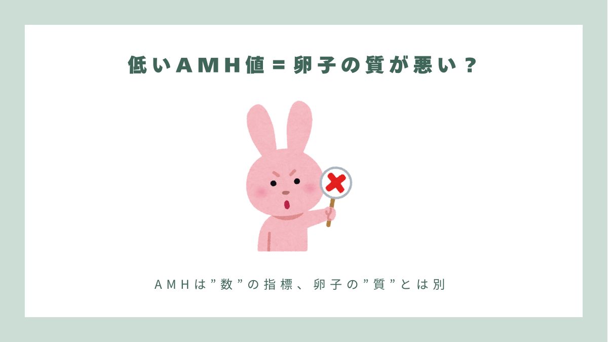 tfcivf's tweet photo. 🧬 AMH値 = 妊娠力の指標？正しい理解が大切！
AMH値（抗ミュラー管ホルモン）は、卵巣予備能（卵子の在庫）を測る大切な指標 ですが、数値だけを見て「低すぎる！」「高すぎる！」と焦るのは "NG"😣💦

今回は、AMH値に関する 3つの誤解 を解消しよう！
 正しい知識を身につけ、適切な判断をしましょう ✅

🔎 誤解①：他の人と比べて私のAMH値が低すぎる？
💬「周りの人はAMH5もあるのに、私の数値は1.28…。大丈夫？」

📌 AMH値は、年齢によって変化します！
🔹 30歳未満 → 平均4以上
🔹 30-35歳  → 平均3以上
🔹 36-38歳  → 平均2以上
🔹 38-40歳  → 平均1以上
🔹 40歳以上 → 平均1未満

📢 大切なのは「他人と比べること」ではなく「自分の年齢に適した数値」を知ることです！

🔎 誤解②：AMH値が高いと多嚢胞性卵巣症候群（PCOS）？
💬「私のAMHは8.6… これって多嚢胞性卵巣症候群？」

🧐 AMH値が高いと＝PCOSとは言えません！
AMH値が平均より大幅に高く、かつ月経不順・肥満・多毛などの症状もある場合 で、PCOSの可能性があるのと推測できます。⚠

📌 診断には、経腟超音波などの検査と総合的な評価が必要！ 数値だけで決めつけないようにしましょう🔬

🔎 誤解③：AMH値が低いと卵子の質も悪い？
💬「AMHが1.25しかない…卵子の質が悪いってこと？」

🧬 AMHは卵子の在庫「数」の指標であり、「質」とは関係ありません！

✅ AMH値が低いと：
✔ 卵巣の在庫が少ない → 将来的に採卵できる数が減る
✔ 排卵機能が低下 → 妊娠可能な年齢が短くなる可能性

👶 卵子の質を決める最大の要因は「年齢」！
📢 妊娠を考えているなら、早めの検査や凍結保存を検討しましょう！

💡 AMH値は重要な指標ですが、数値だけにとらわれず、専門医と相談することが大切です！
📍 正しい知識を持ち、自分に合った妊活計画を立てましょう✨

💡 相談フォームにご記入され、夢を実現させる第一歩を踏み出しましょう！
👉 https://t.co/zlApHlsrqf

📍 国際医療についてはこちら
👉 https://t.co/zWf6eQCJSG
📍 LINE：（ID：@524ltcow）

#TFC台北生殖センター #唯一のSNQ認証を取得した生殖医療クリニック #AMH検査 #妊娠力 #生殖医療 #卵子凍結 #TFC #体外受精 #IVF