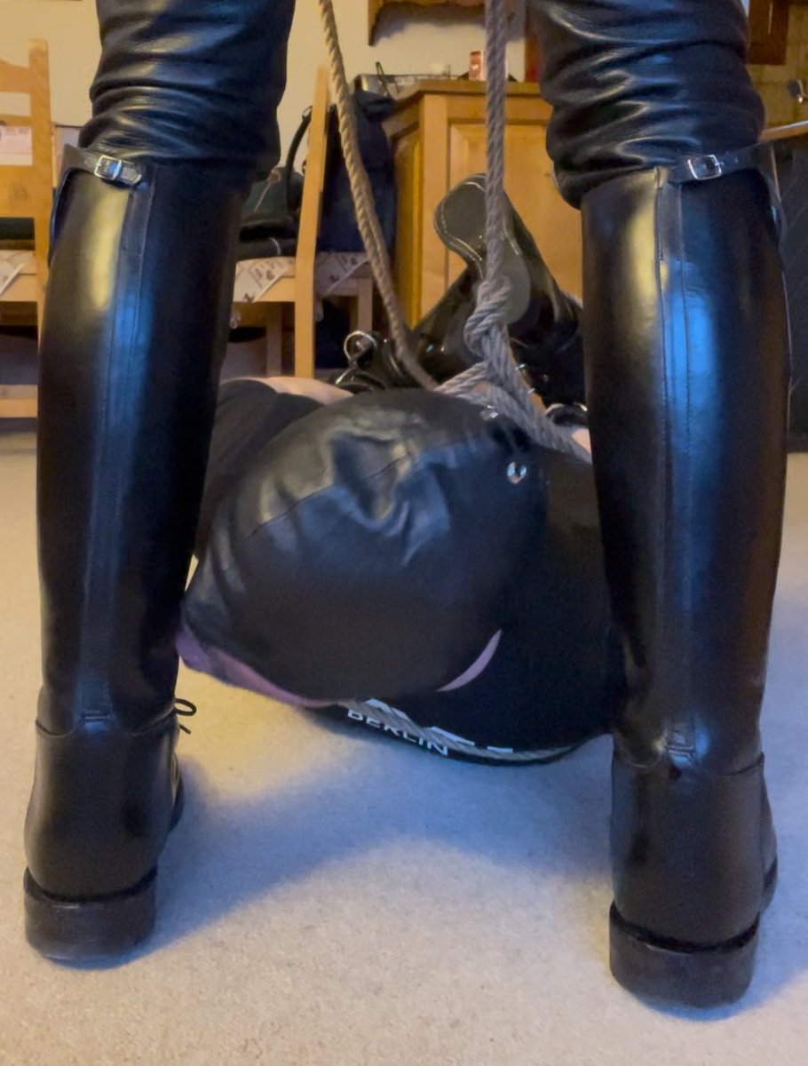 ALPHA4betamuscl🔜Denver tweet media