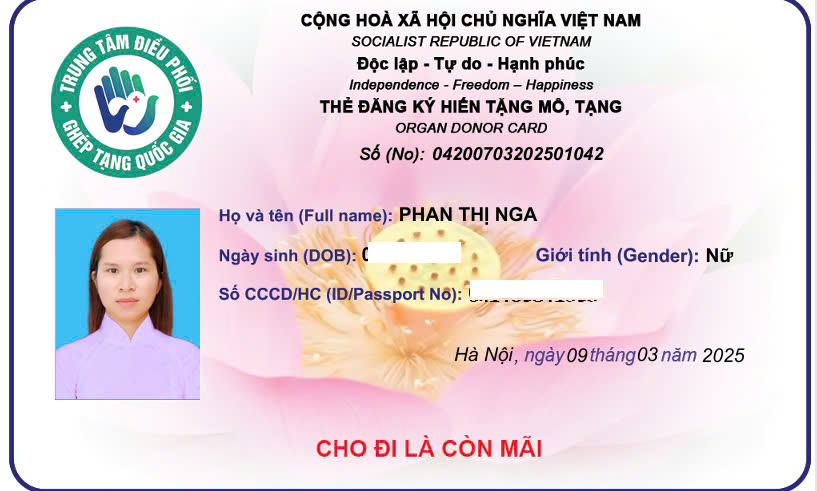 Phan Nga | Nora tweet media