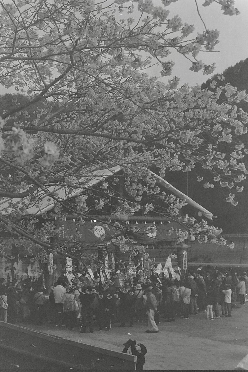 turbou3's tweet photo. #フィルムカメラ #フィルム で撮りました📷
前回レンズ不良だったので違うので撮りましたが、この個体もうすぐもり気味でした。
#konica #autoreflext3 #hexanon 52mmf1.8
#山口県 #岩国市 #行波の神舞 https://t.co/lBo3RoB1ZC