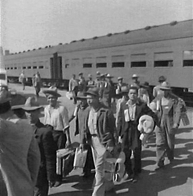 carlos_glezgtez's tweet photo. Los mexicanos que participaron en el #ProgramaBracero iniciado en 1942 trabajaron en múltiples industrias; en cuanto a su labor en los campos de #California se dedicaron a la pizca de melón, sandía, lechuga, betabel y algodón #HistoriaLA https://t.co/K9miuoykV8