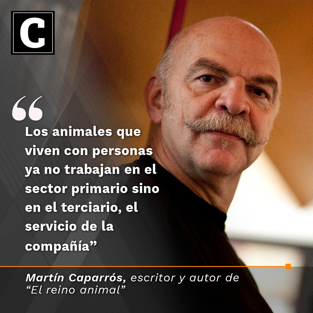 Confabulario tweet media