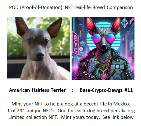 Judemasse's tweet photo. Mint your POD NFT Now
👇
https://t.co/ACgHME1xh1

#NFT #AiNFT #mintNFT #dogsofinstagram #dog #dogs #dogslife #perrosmexico #savethedogs #mexicandogs #dogstagram #helpdogs #ayudaperros #donatetoday #givetoday #Raisingfunds #fundraising #donate #NFTCommunity #NFTCollection #NFTDrop https://t.co/mlaS5ngIV0