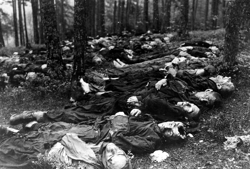 real starvation. real genocide.

120 battered bodies of Jewish slave laborers from the S.S. camp at Neunburg, Germany. They were taken to a woodland site and murdered by guards

Harry S. Truman Archives