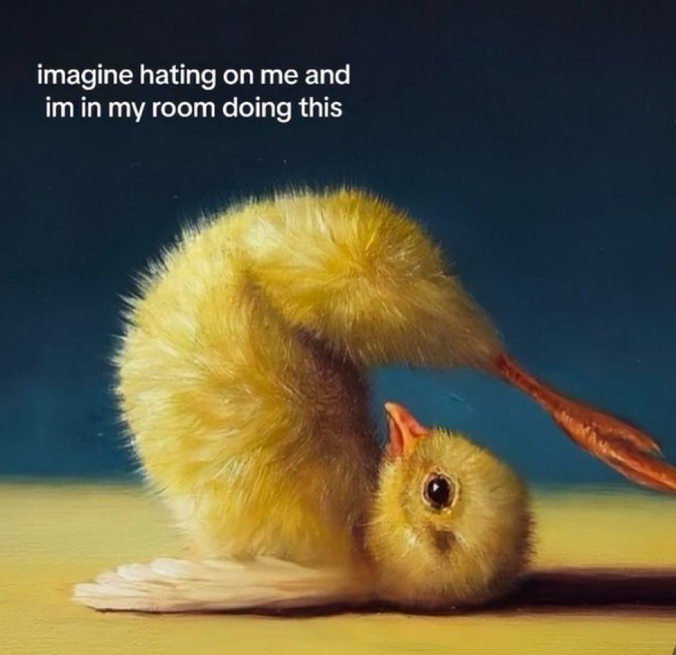 Rostom (@zeina_rostom) on Twitter photo 