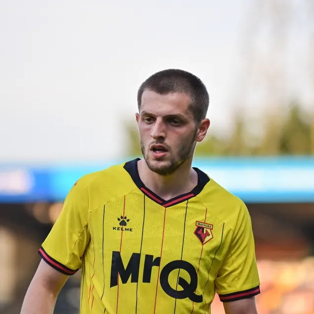 TheWatfordWay tweet media