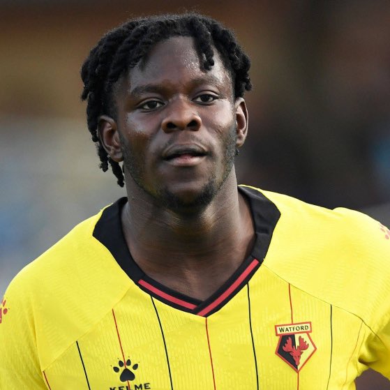 TheWatfordWay tweet media