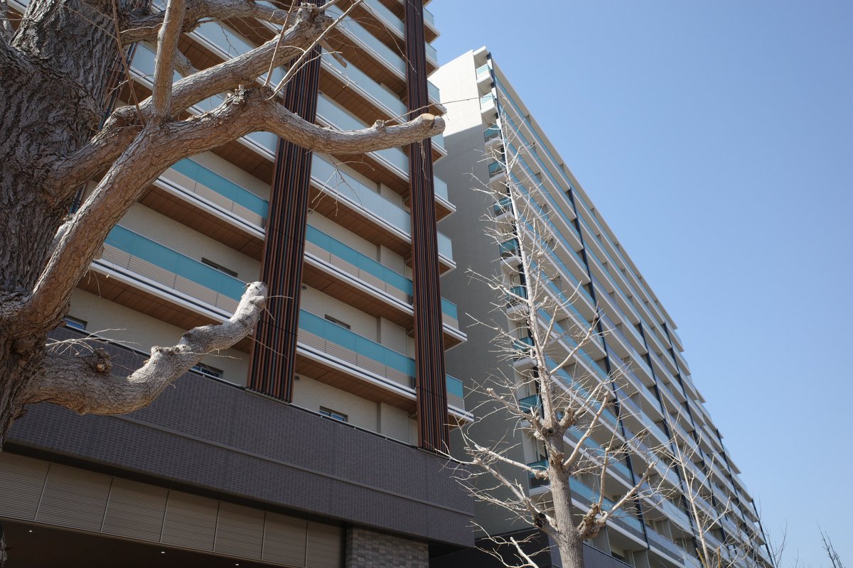 おはようございます！
本日もよろしくお願いします

#写真好きな人と繋がりたい
#写真撮ってる人と繋がりたい
#スナップ

📸GRⅢ