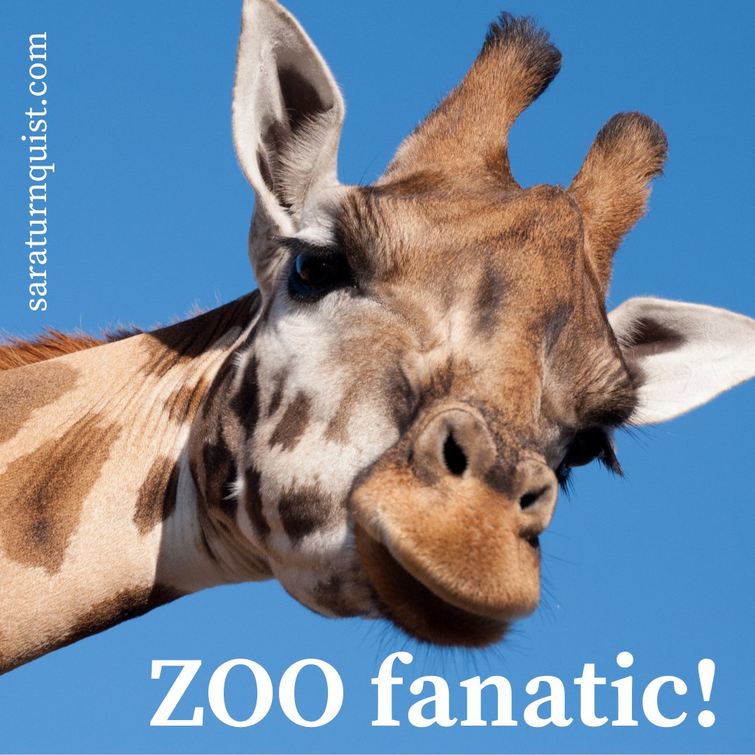 Sara R. Turnquist tweet media