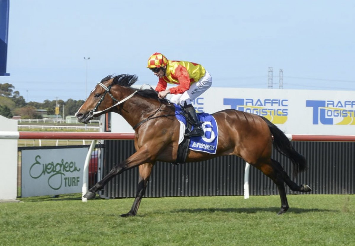 Best Roughie – Hawkesbury R2 #2 Silencio Porfavor
💰 $8.50 @PlayUp
Looking for value? This runner is worth a second glance. Forgive the last run at Warwick Farm – showed signs of ability despite finishing 9th.

Gets Kerrin McEvoy on today and should appreciate the Hawkesbury