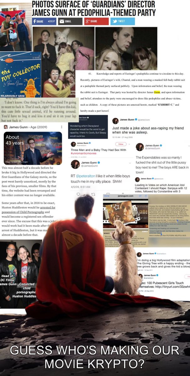 The real villains are pathetic pedo enabling apologists like you who ignore Gunn's behavioural red flags in favour of stupid capeshit. You're a disgrace to all Superman fans &amp; have no right to lecture anyone what Superman stands for.👇🖕