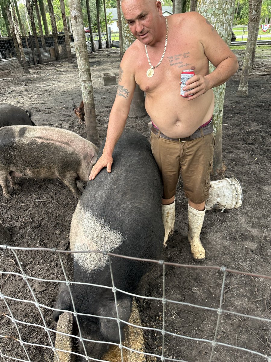 alexcapo8's tweet photo. @unheardofbrand This is the only pigs on the family farm. Not really the pigs I want. 😂 https://t.co/dAaLHCoTbQ