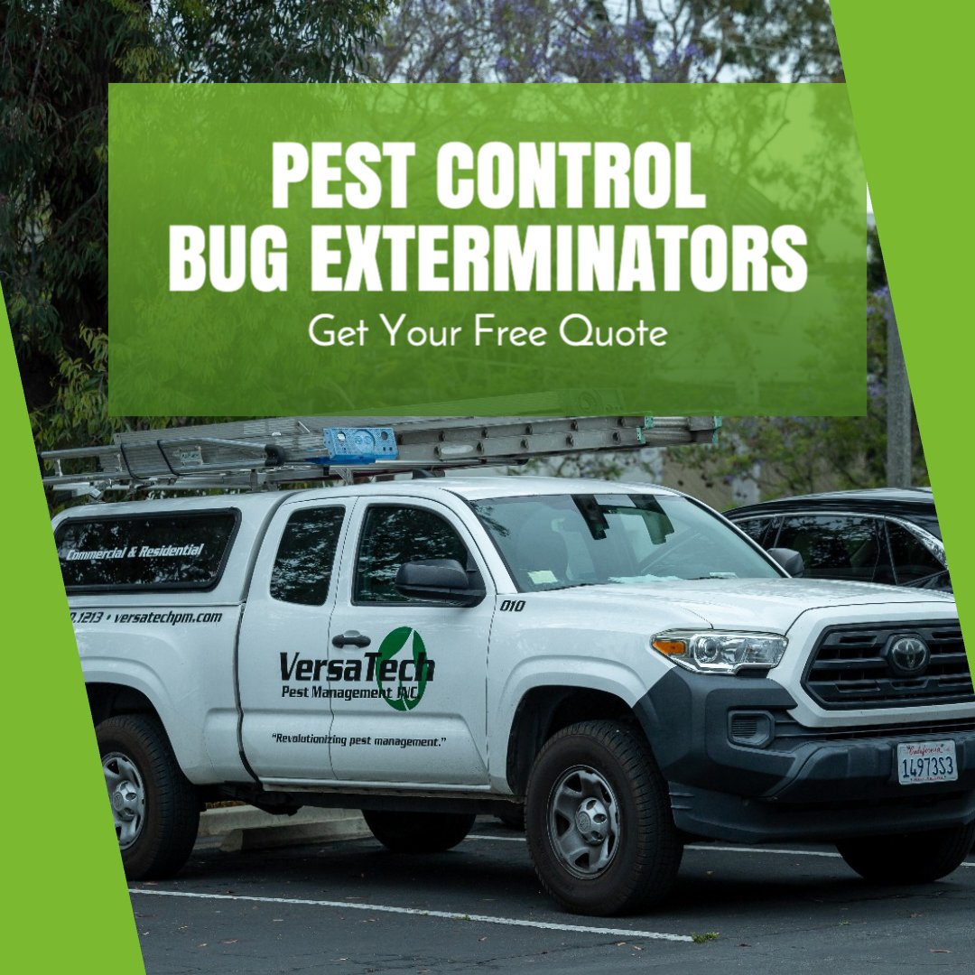 VersaTechPM's tweet photo. Pest activity is on the rise and the experts at Versa-Tech® are here for you with guaranteed #pestcontrol solutions you can count on. Get your free quote & protect what matters most!
#pestcontrolservice #losangelespestsolutions #losangelesexterminator #bugexterminators https://t.co/EP5yPAy5M1