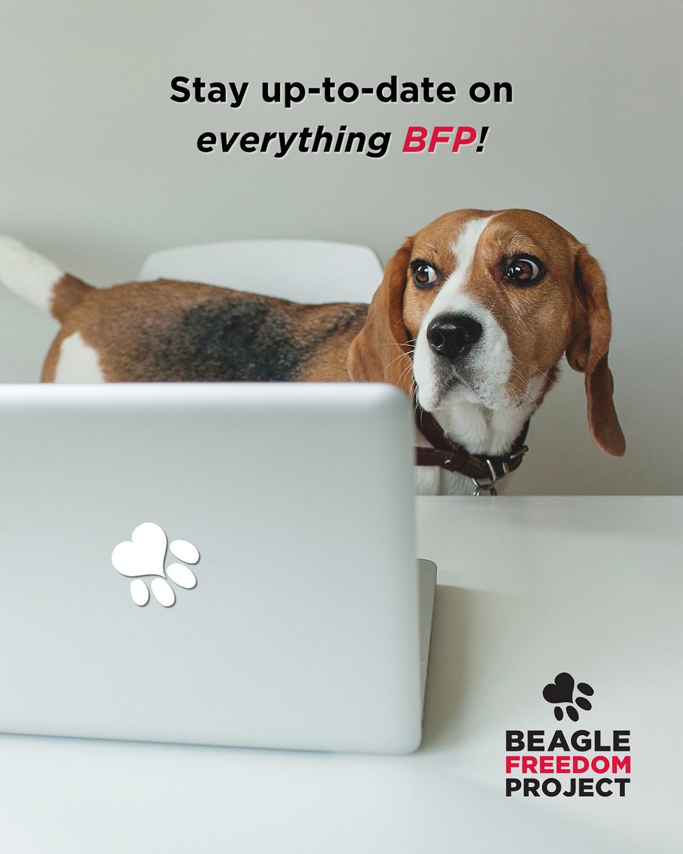 beaglefreedom's tweet image. Extra extra! Read all about it! ✨

Sign up for our E-newsletter to be up-to-date on everything BFP! Know about our rescues, campaigns, new legislation, and more! 🐶❤️

Sign up here: bfp.org/signup ✨

#beaglefreedomproject #endanimaltesting