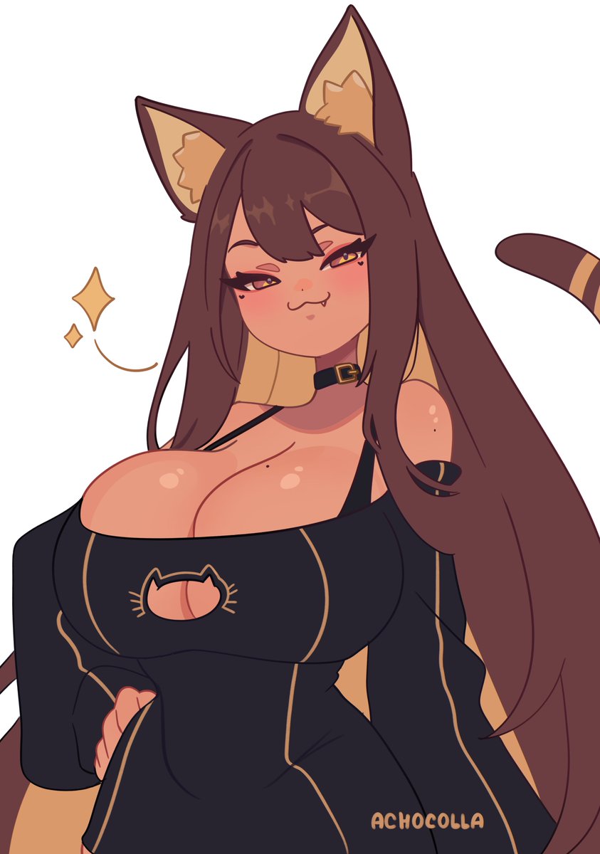achocolla's tweet photo. Sassy cat https://t.co/m4xoJO46Hc