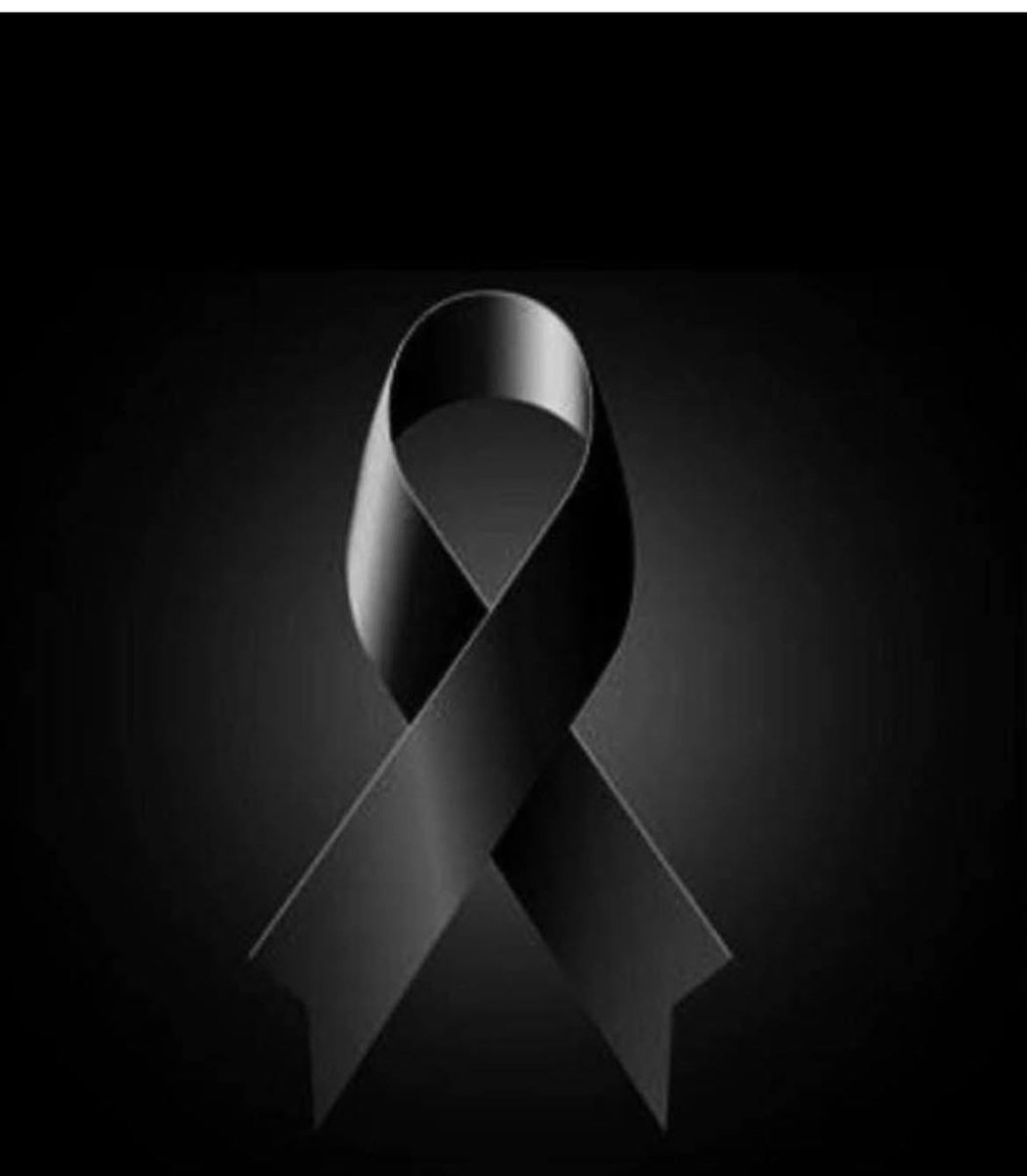 Madelyn Fernández tweet media