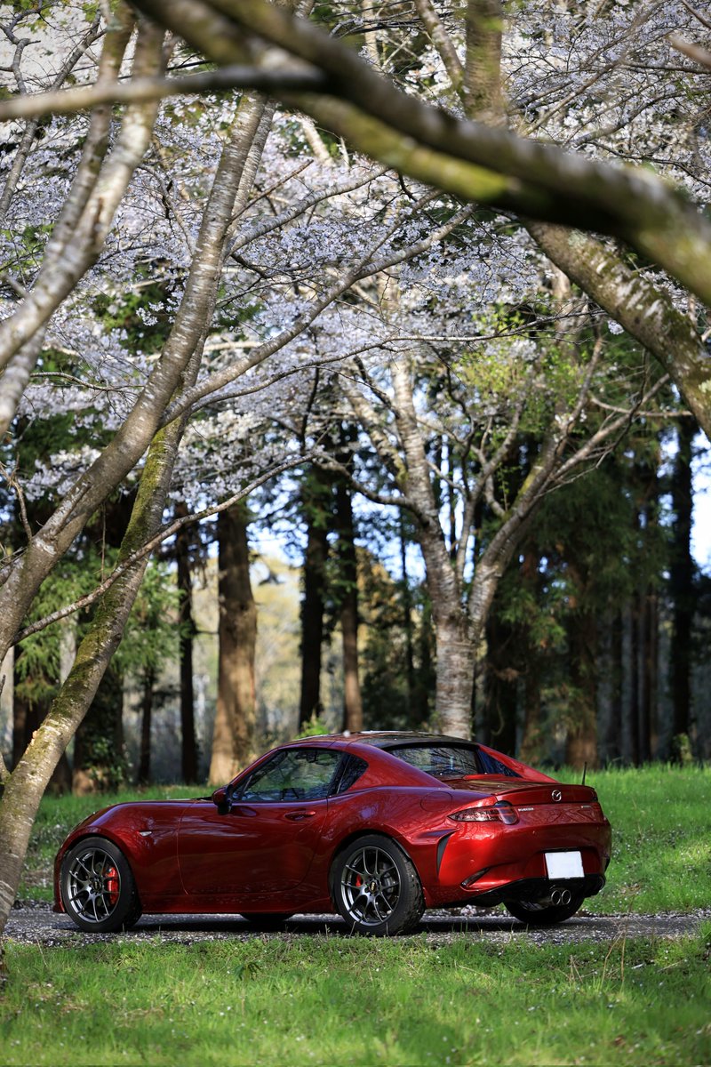 銀@ NDERC tweet media