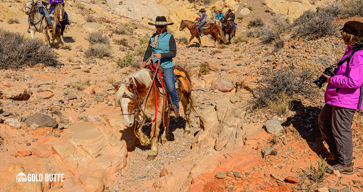 March Match board challenge concludes, a big THANK YOU! - mailchi.mp/friendsofgoldb…