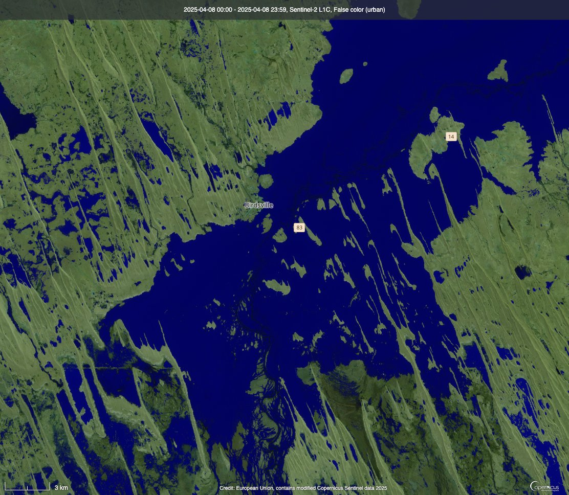 Major flooding in the Diamantina River has transformed the landscape around Birdsville in southwest Qld. These satellite images use false colours to highlight the floodwater. The first image was captured on March 19, the second on April 8.

📷: Copernicus / Sentinel 2