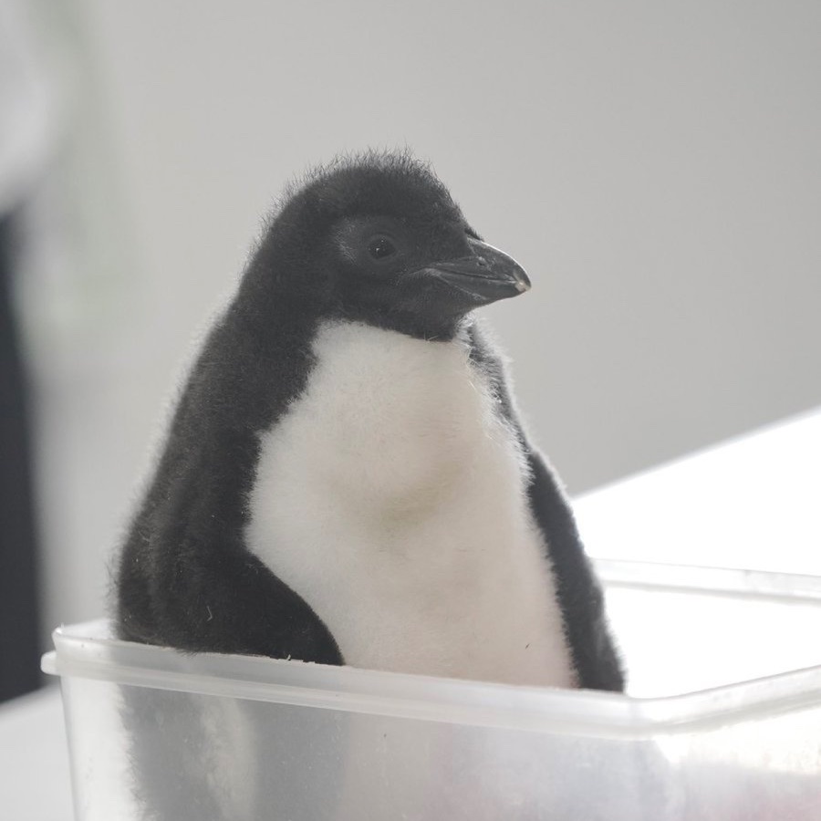 what the hell  am I doing with my     whole   life