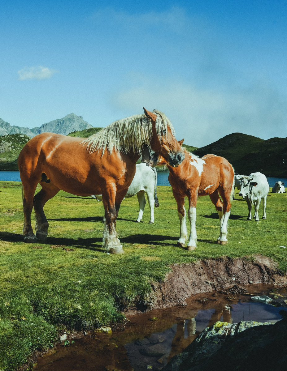 Vivement l’été et les randonnées