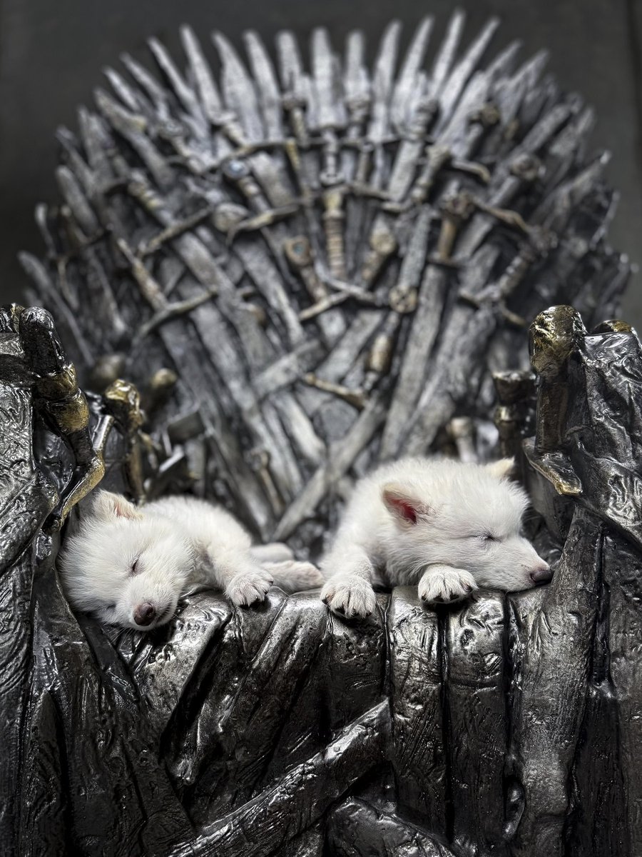 Thrones Updates tweet media