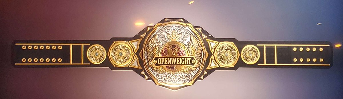 TEW_EFED's tweet photo. Winner Gets this Badass Inter-Fed championship https://t.co/aB7zgEMdfK
