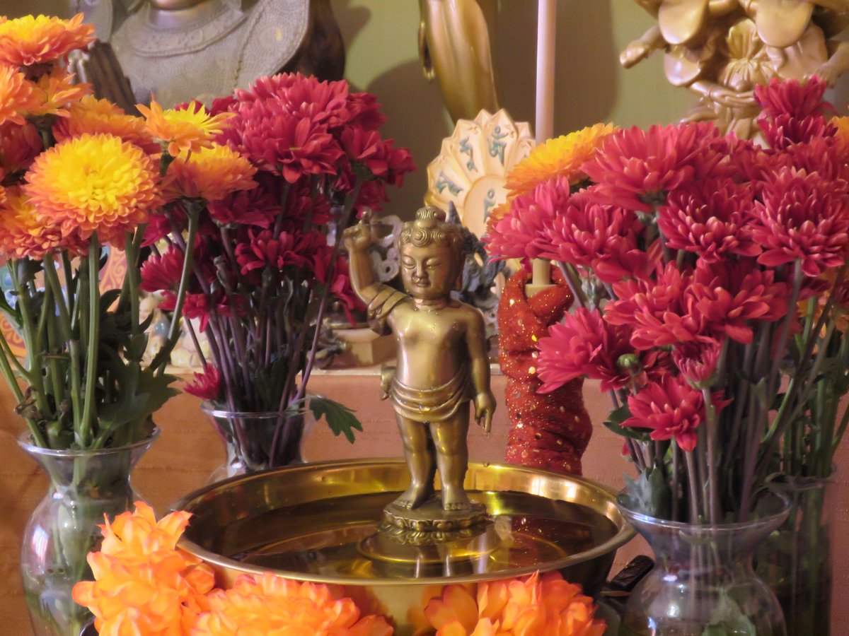 dharmaticvlog's tweet photo. Hanamatsuri es una festividad japonesa que celebra el nacimiento de Buda, específicamente el 8 de abril. Durante esta celebración, se realiza una ceremonia llamada “Kambutsue”, donde se baña una pequeña estatua del Buda niño con té dulce, llamado “amacha”. https://t.co/lrvbZUdLR9