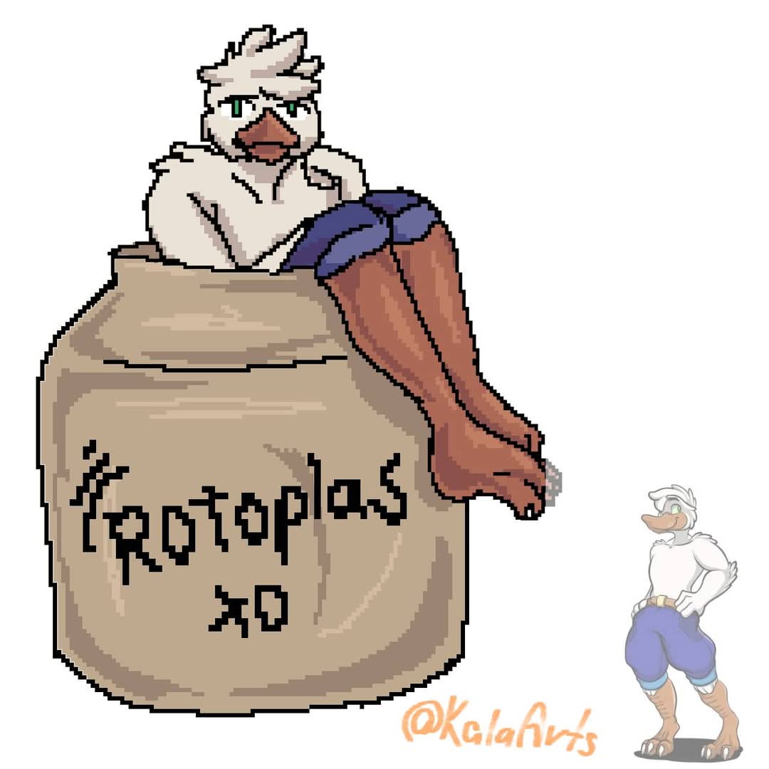 Duck Patch tweet media