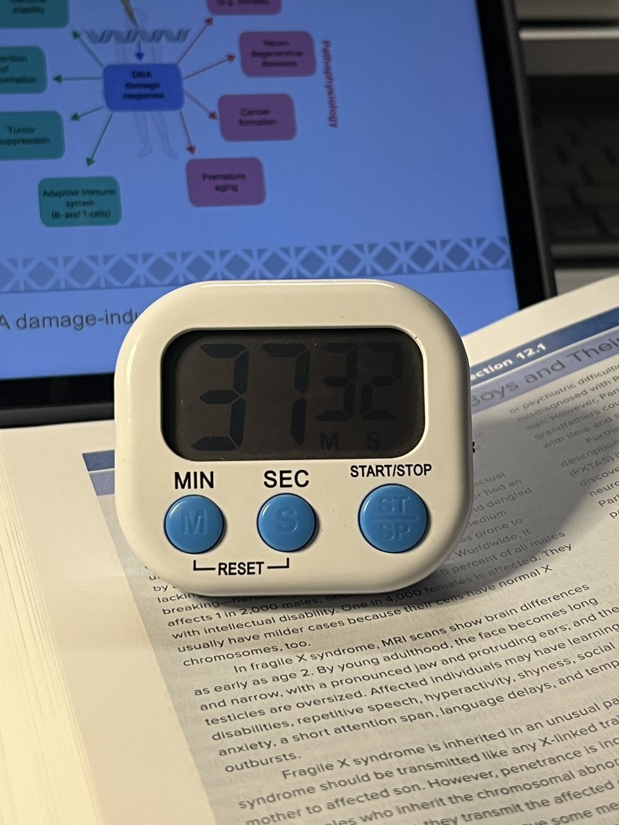 Rory 🩺. tweet media