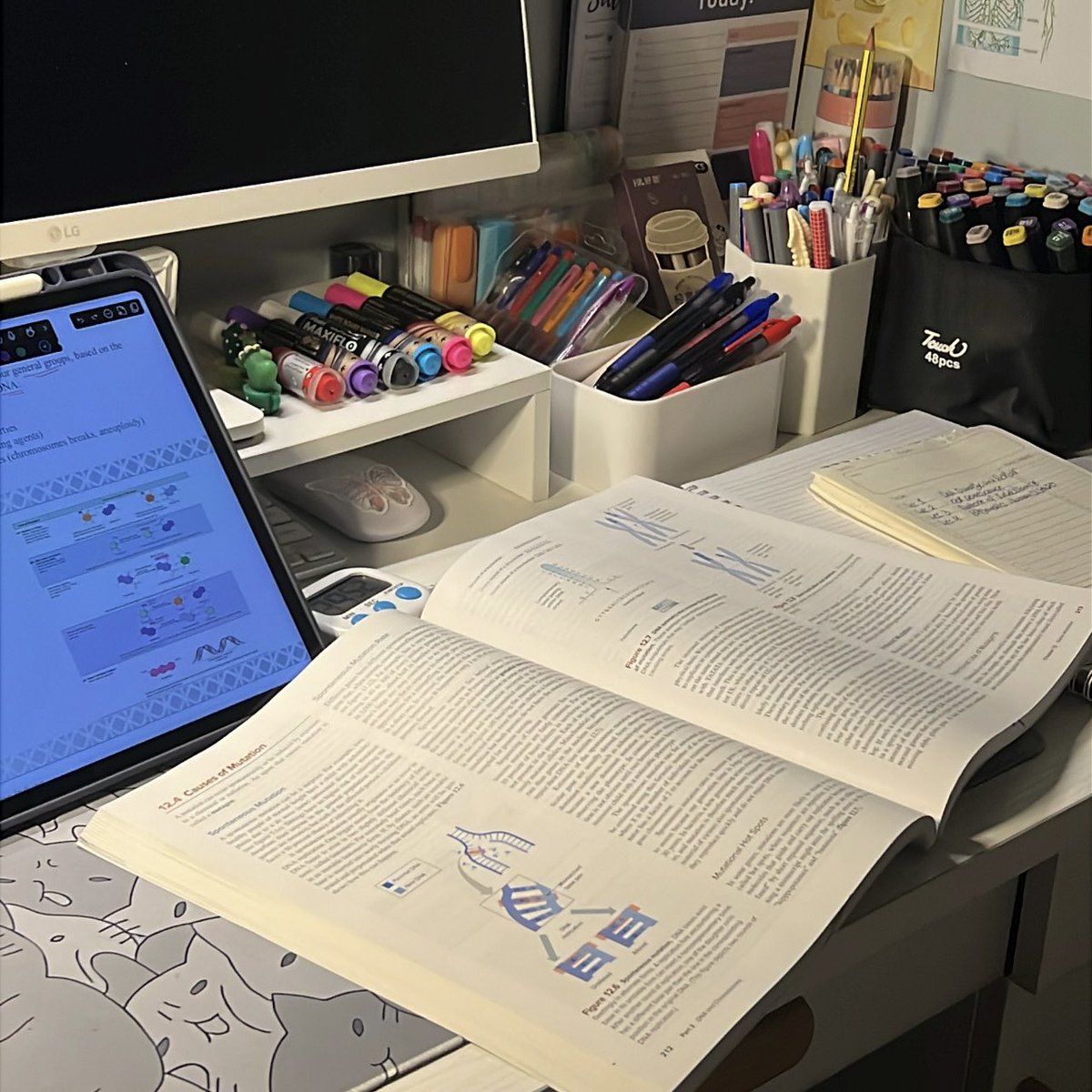 Rory 🩺. tweet media