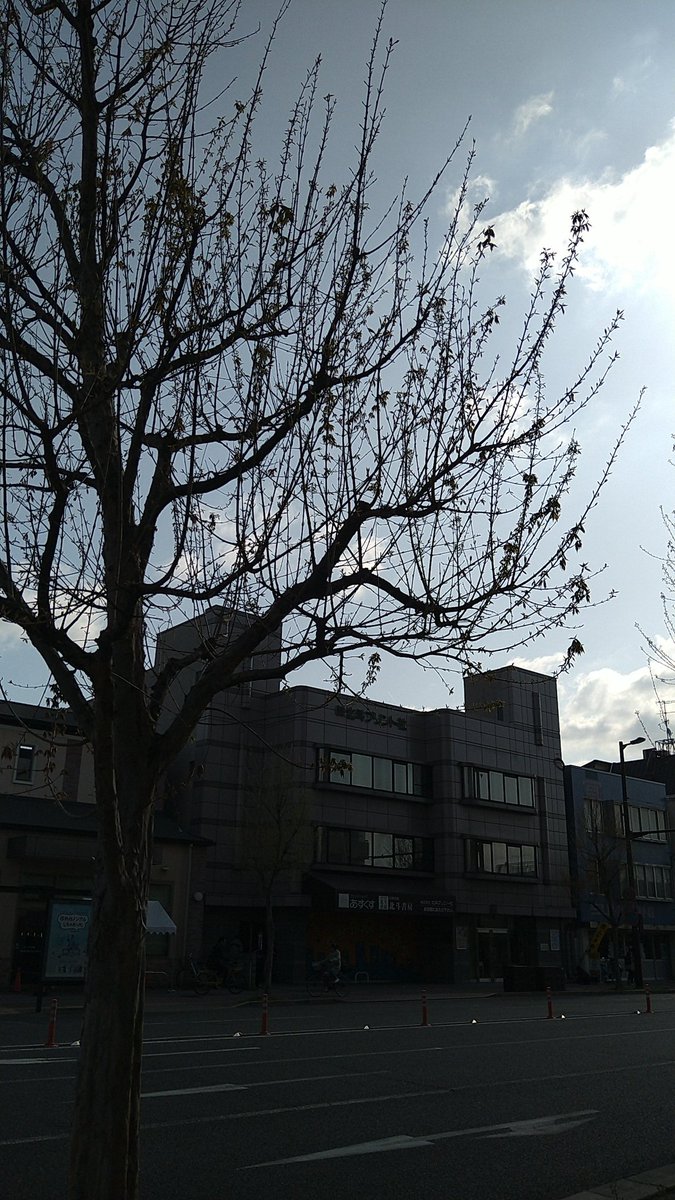 hokutoshobo's tweet photo. お早うございます。
今朝の京都市は晴れ☀️
本日もよろしくお願いします😆

#企業公式が毎朝地元の天気を言い合う 
#企業公式春夏秋冬フォロー祭り 
#企業公式相互フォロー https://t.co/xZuPPotPSi