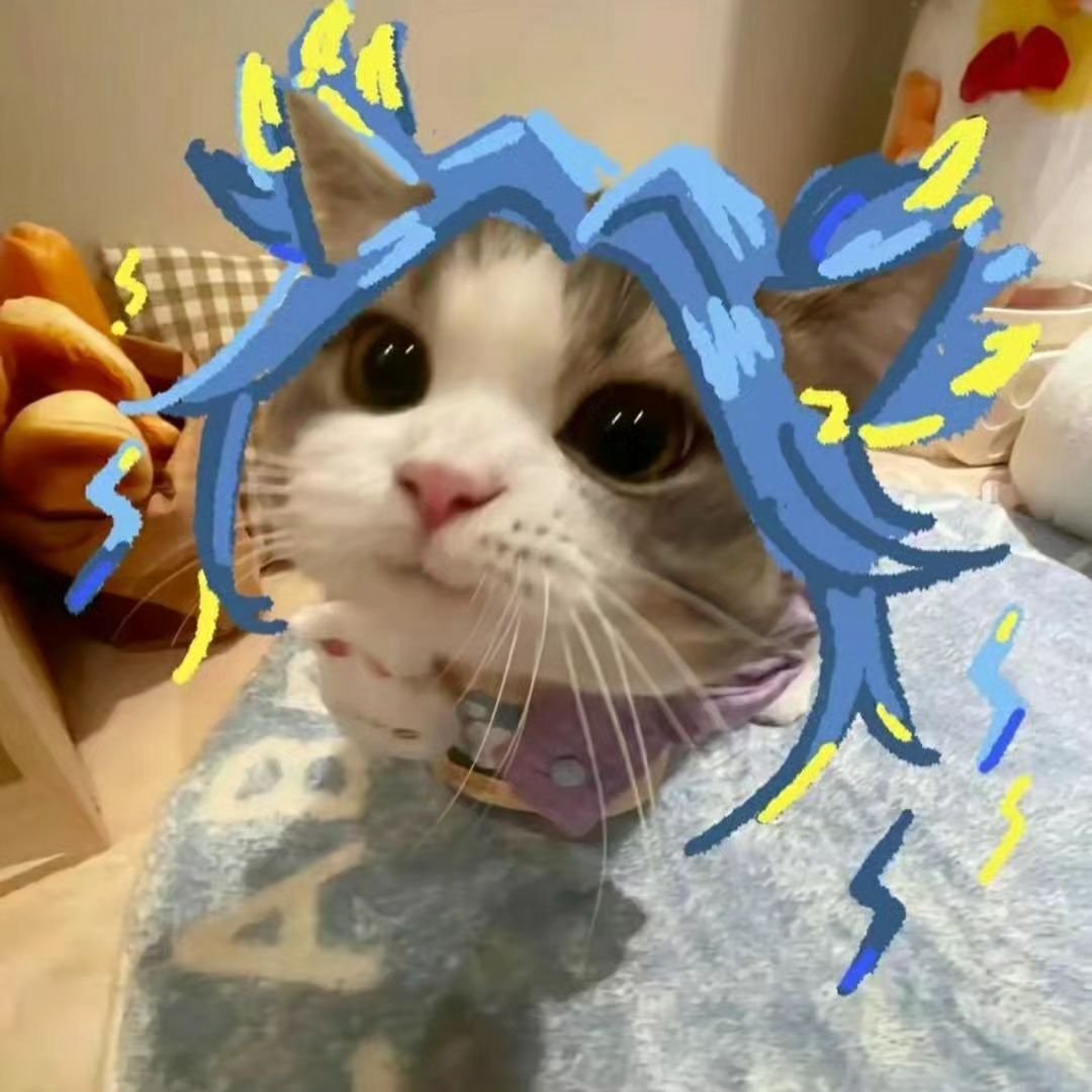 ValorantUpdated's tweet photo. Valorant kitties https://t.co/ebqoiOnCaJ
