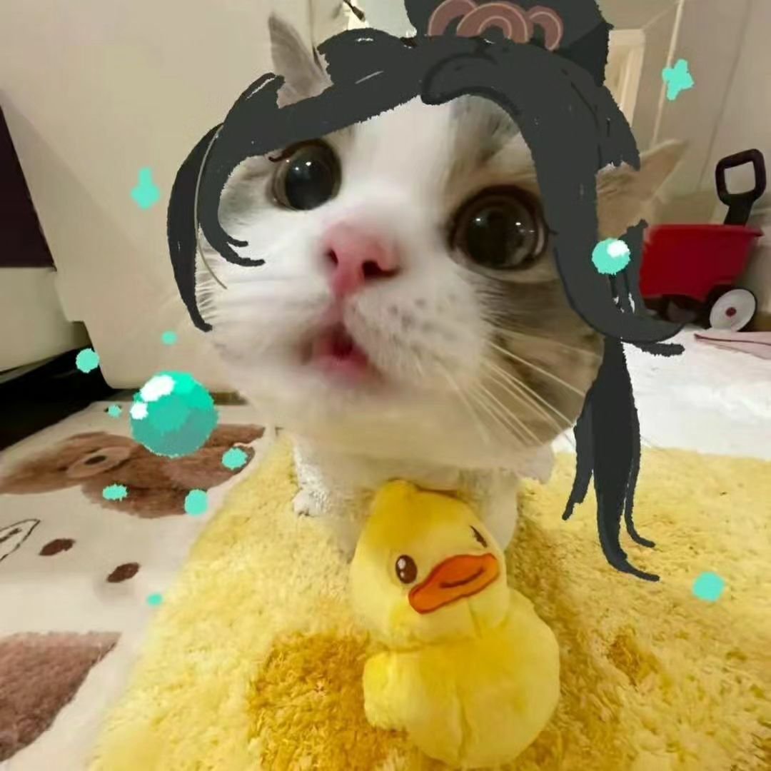ValorantUpdated's tweet photo. Valorant kitties https://t.co/ebqoiOnCaJ