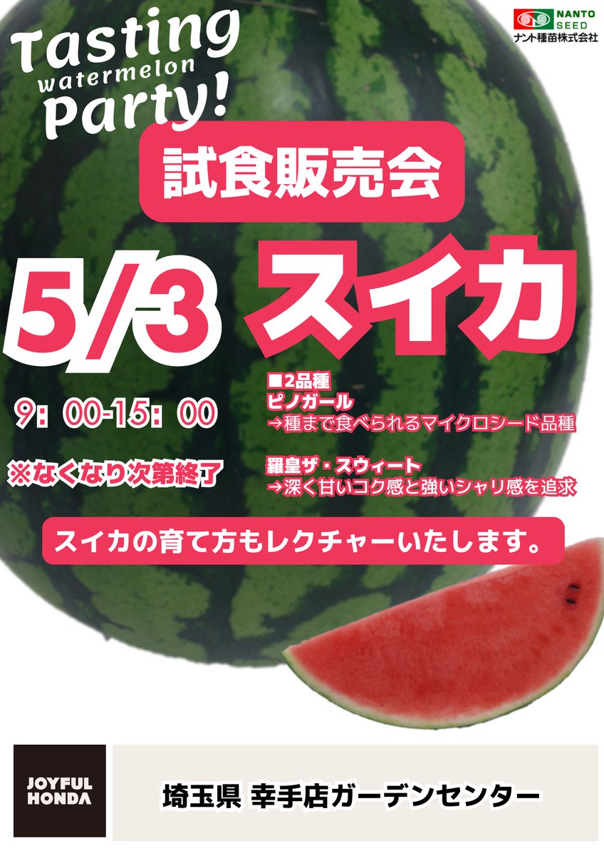 ピノガール - Search / X