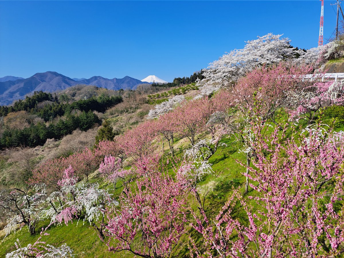出勤途中に　ちょっと寄り道