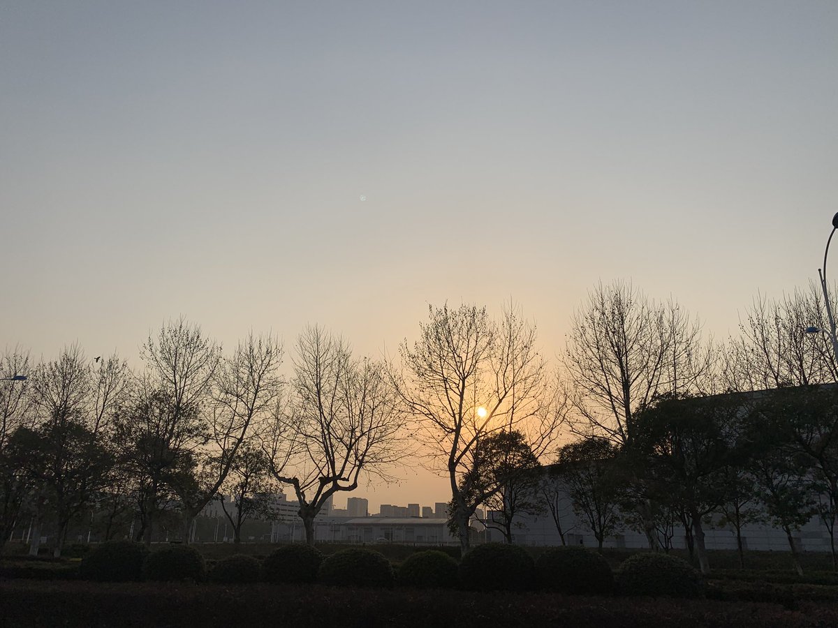 早起的鳥兒有蟲吃嗎