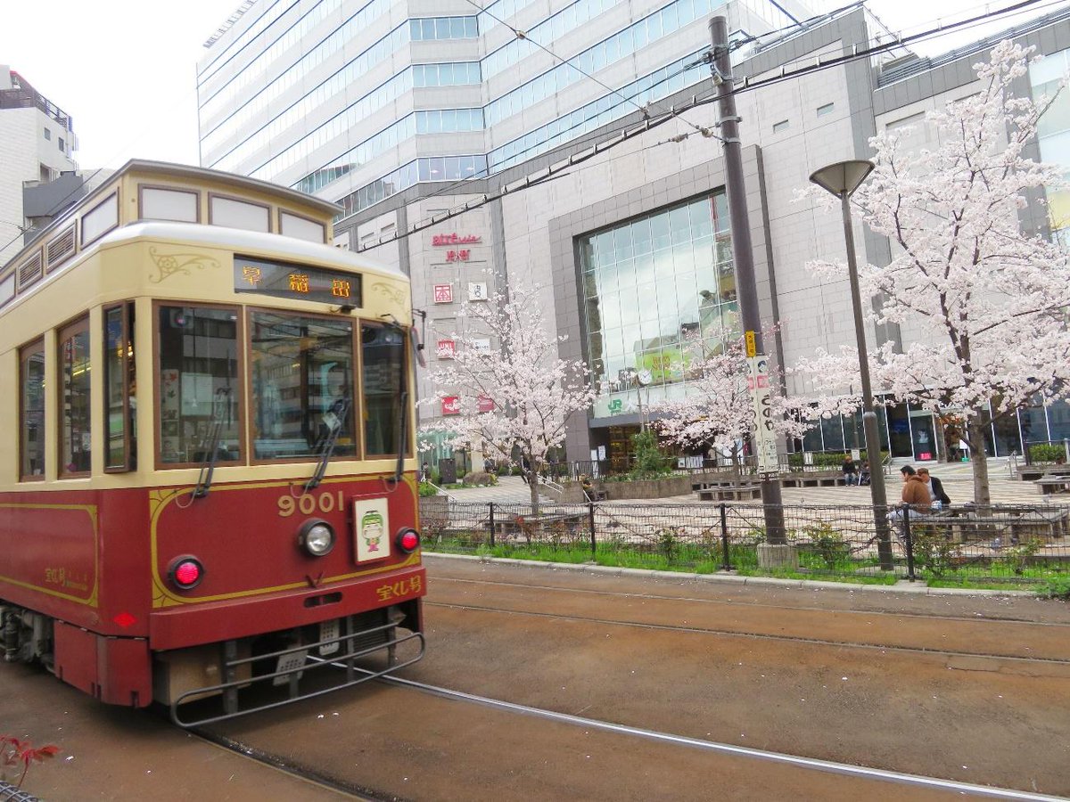 exp_ja's tweet photo. 【東京】
ソメイヨシノが誕生した豊島区で早春に人気の桜のお花見スポット

▽詳しく見る
https://t.co/cZW2sJFwTM

#DeepExperience
#桜 https://t.co/lc9wkDWXvZ