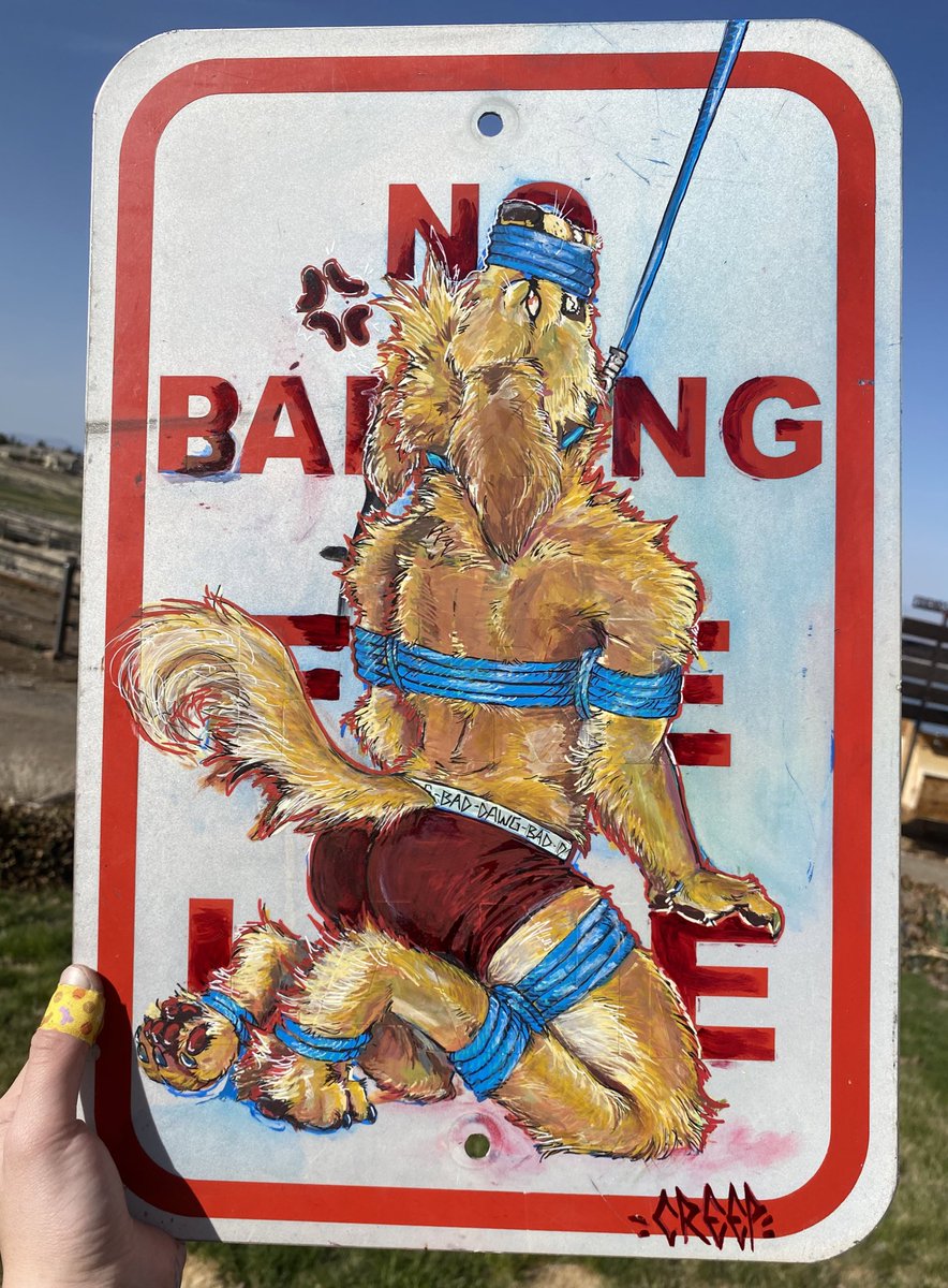 No barking 🚫🐕

12x16 inch metal sign