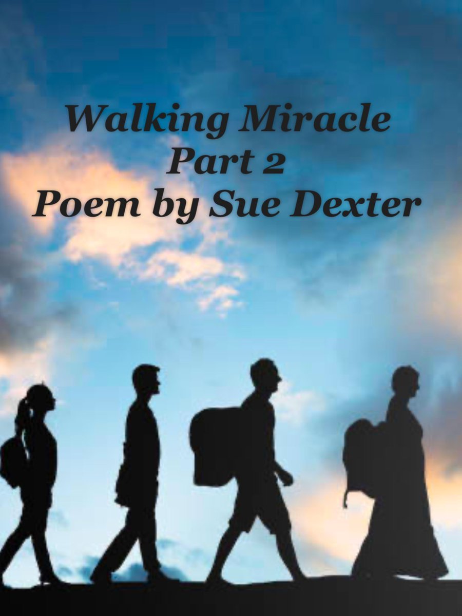 Sue Dexter🙏🇺🇸🕊 👨‍👩‍👧‍👦🏈🎵🥀🏒 tweet media