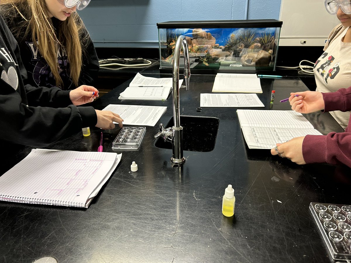 acouttashaw's tweet photo. Today was a fun and busy day in Vet Science! Students have been researching lab procedures and today they taught their classmates about their lab procedure! Then, we completed a simulated urinalysis lab and analyzed our data! @RuCoCTE @RiverdaleHighTN https://t.co/cxuLYxee51