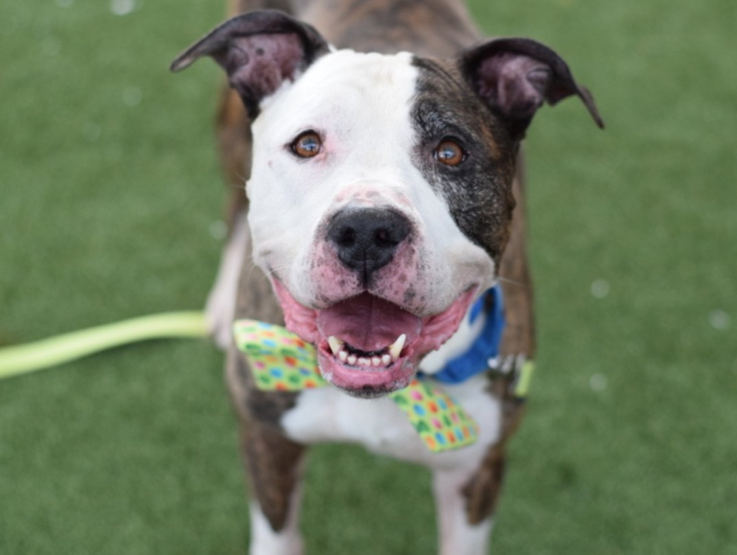 Not the Same tweet media