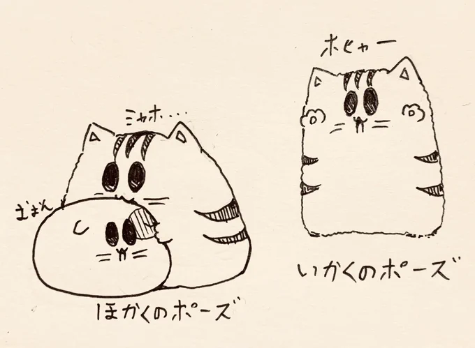 おはよう🐯🐱 